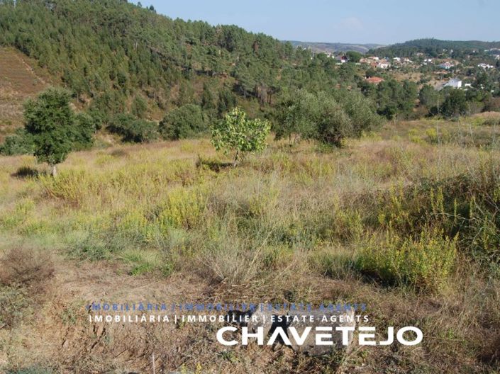 Image No.3-Terrain à vendre à Tomar