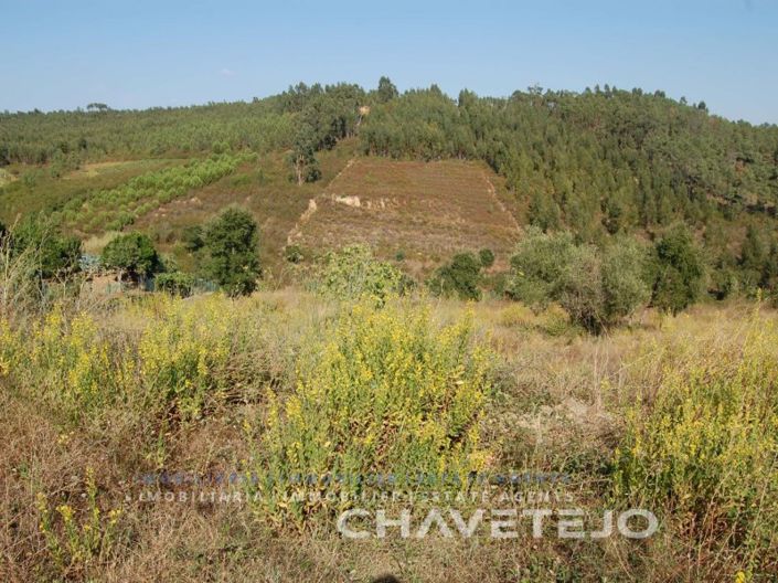 Image No.4-Terrain à vendre à Tomar