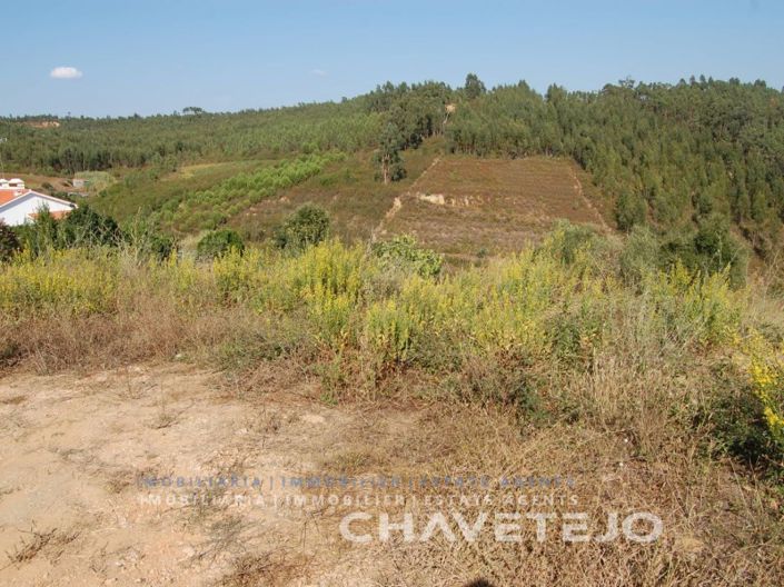 Image No.5-Terrain à vendre à Tomar