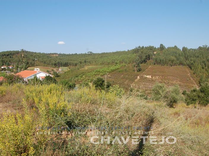 Image No.6-Terrain à vendre à Tomar