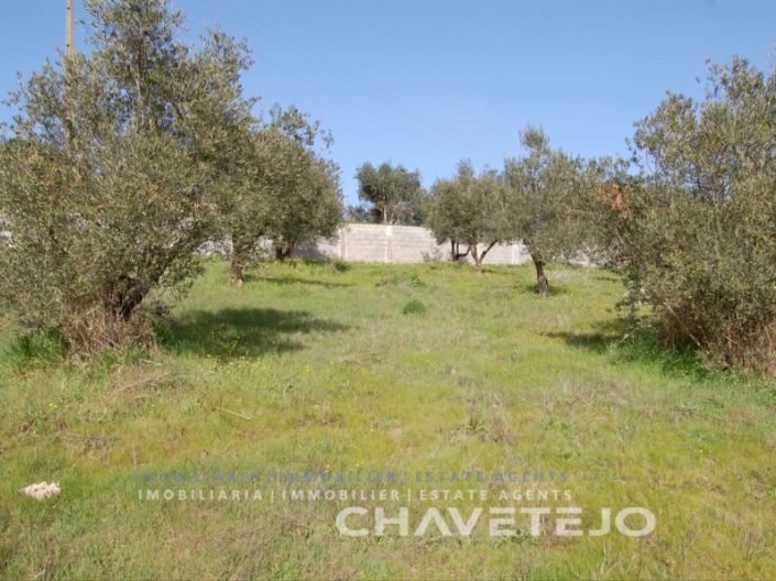 Image No.3-Terrain à vendre à Tomar