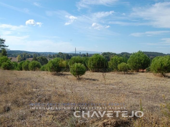 Image No.3-Plot for sale