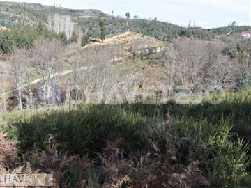 1 - Pedrógão Grande, Terrain