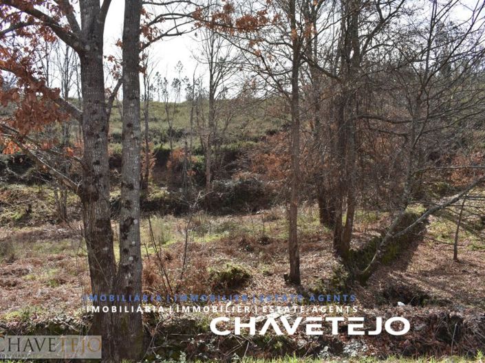 Image No.10-Plot for sale