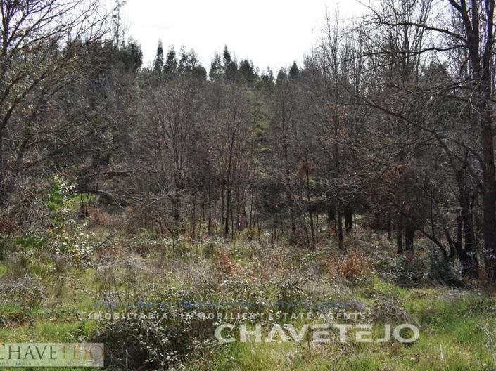 Image No.3-Plot for sale