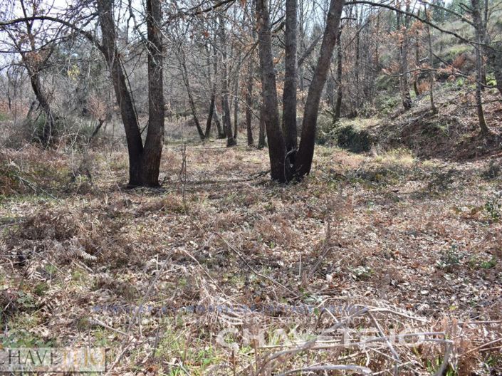 Image No.4-Plot for sale