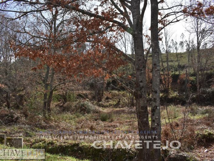 Image No.9-Plot for sale