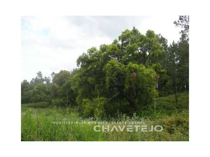 Image No.8-Plot for sale