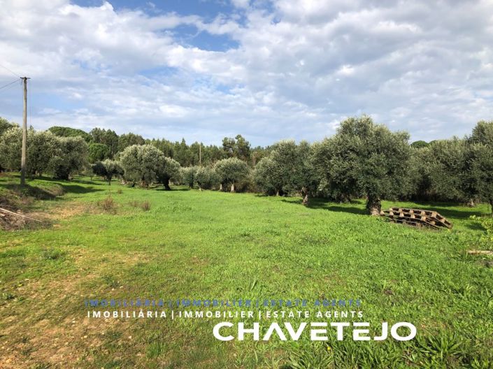 Image No.2-Terrain à vendre à Tomar