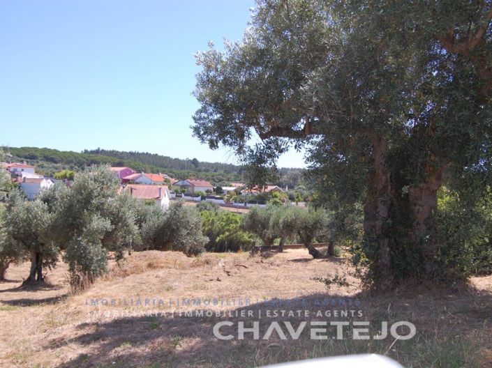 Image No.6-Terrain à vendre à Tomar