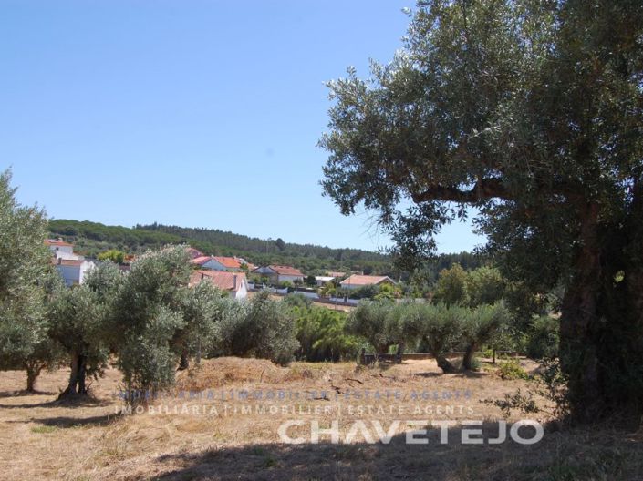 Image No.7-Terrain à vendre à Tomar
