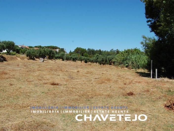 Image No.9-Terrain à vendre à Tomar