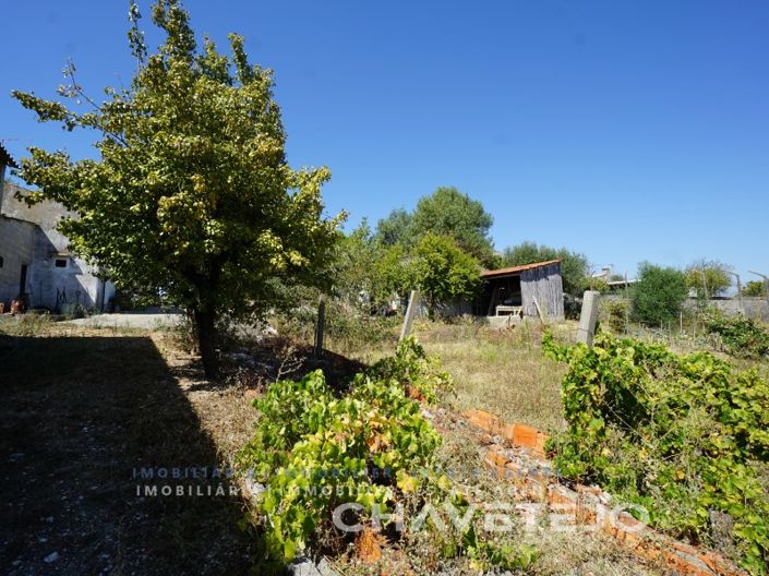 Image No.44-2 Bed Farmhouse for sale
