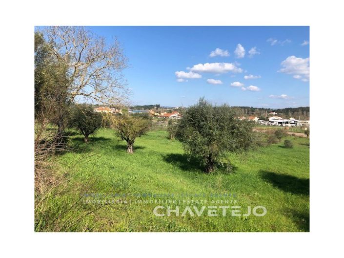 Image No.10-Maison de 2 chambres à vendre à Tomar