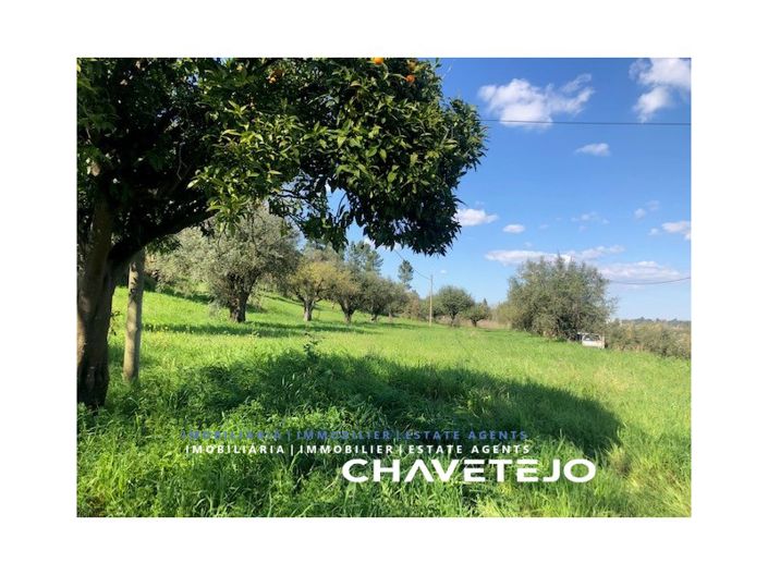 Image No.22-Maison de 2 chambres à vendre à Tomar