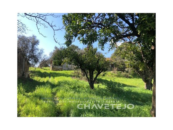 Image No.7-Maison de 2 chambres à vendre à Tomar