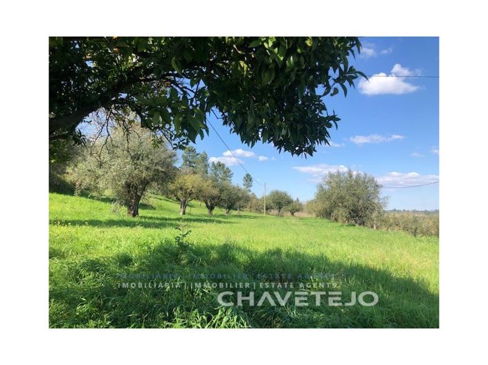 Image No.8-Maison de 2 chambres à vendre à Tomar