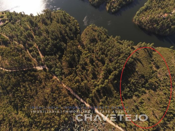 Image No.2-Terrain à vendre à Tomar