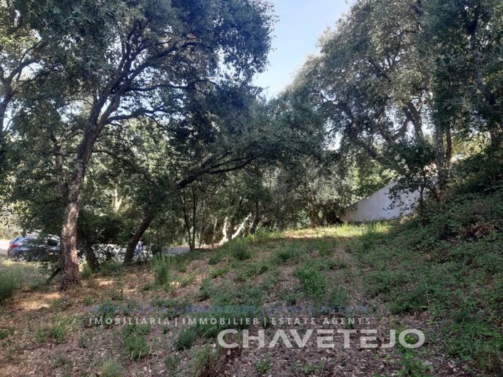 Image No.2-Terrain à vendre à Tomar