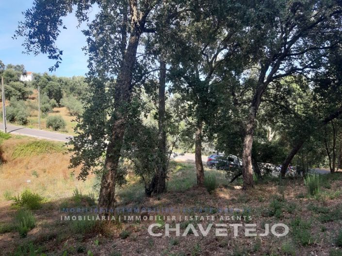 Image No.3-Terrain à vendre à Tomar