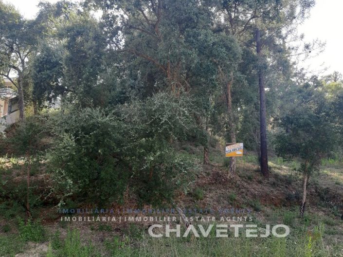 Image No.4-Terrain à vendre à Tomar