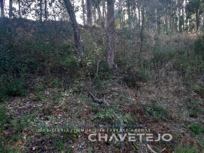 Image No.5-Terrain à vendre à Tomar