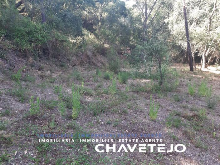 Image No.7-Terrain à vendre à Tomar