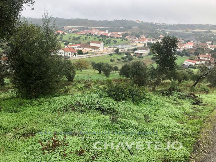 Image No.2-Terrain à vendre à Tomar