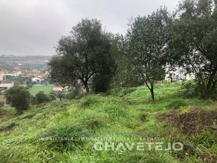 Image No.4-Terrain à vendre à Tomar