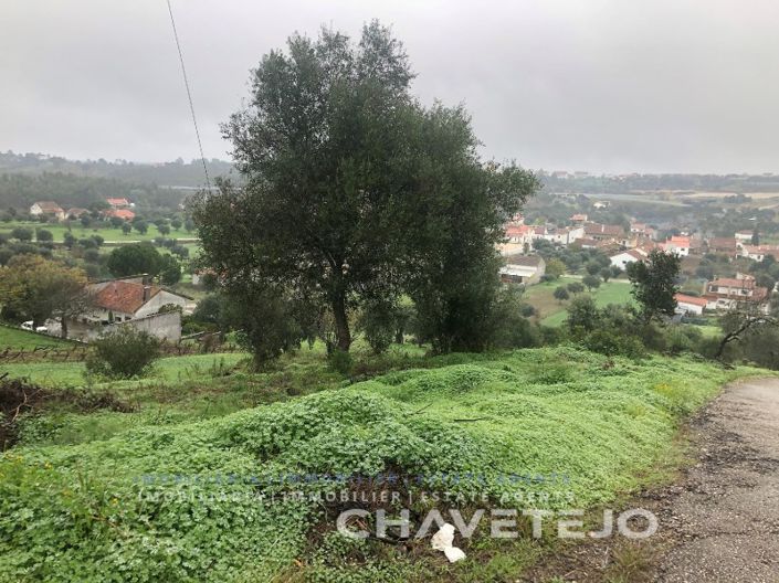 Image No.6-Terrain à vendre à Tomar