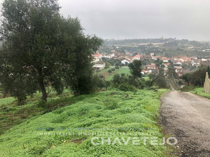 Image No.7-Terrain à vendre à Tomar