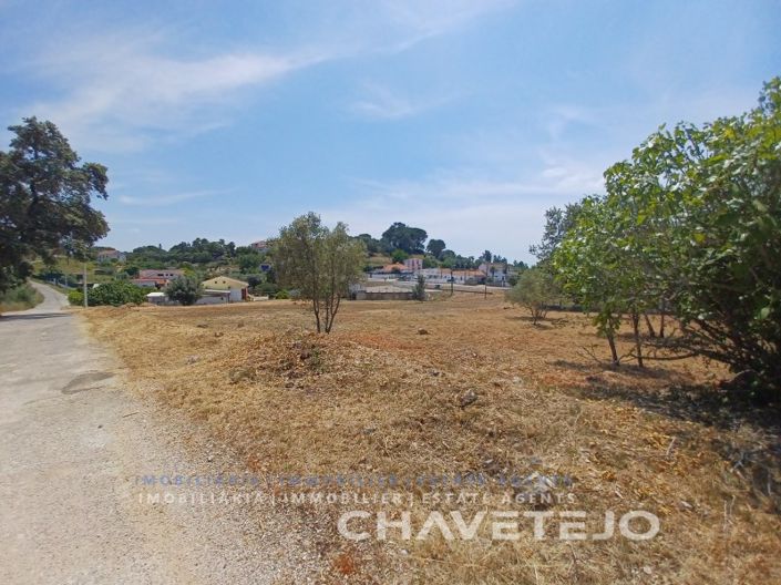 Image No.6-Terrain à vendre à Tomar