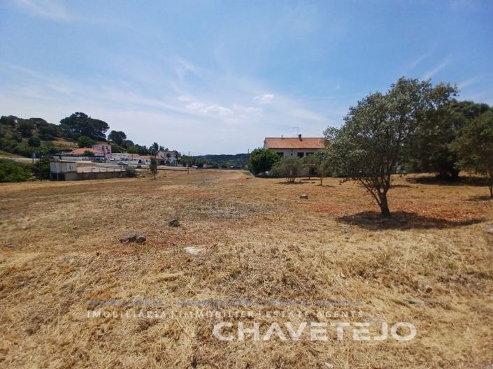 Image No.9-Terrain à vendre à Tomar
