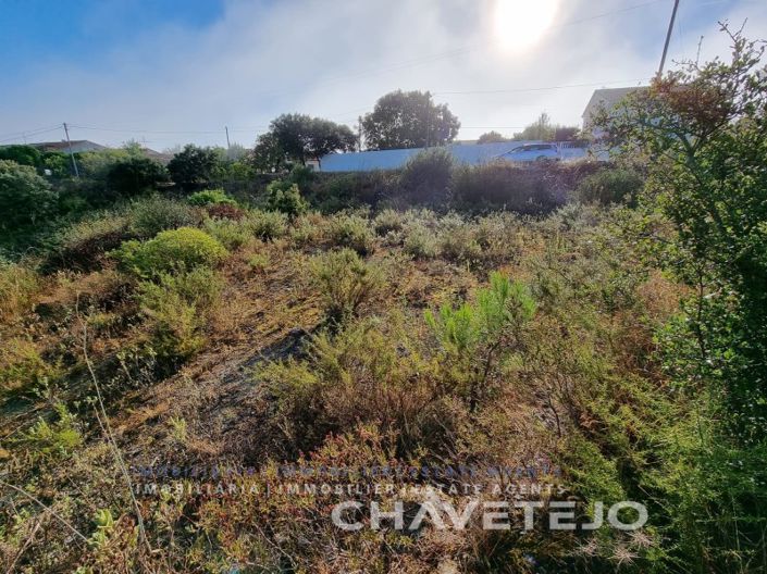 Image No.4-Terrain à vendre à Tomar