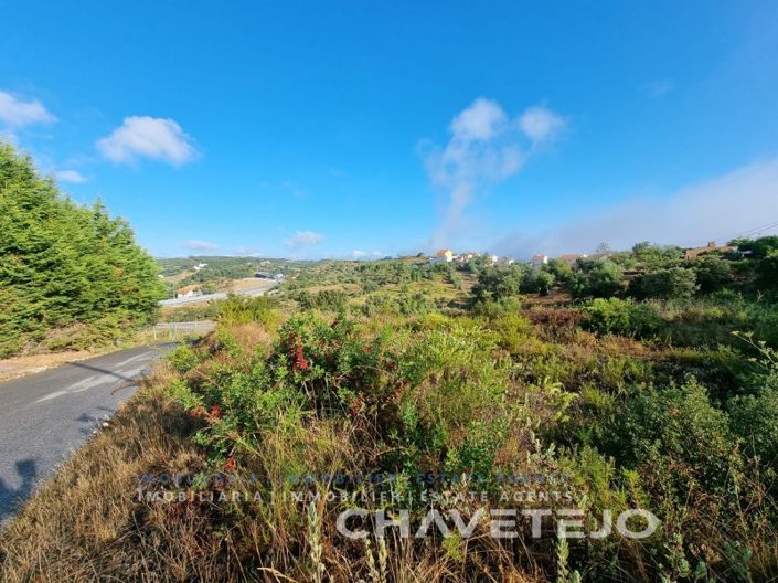 Image No.6-Terrain à vendre à Tomar