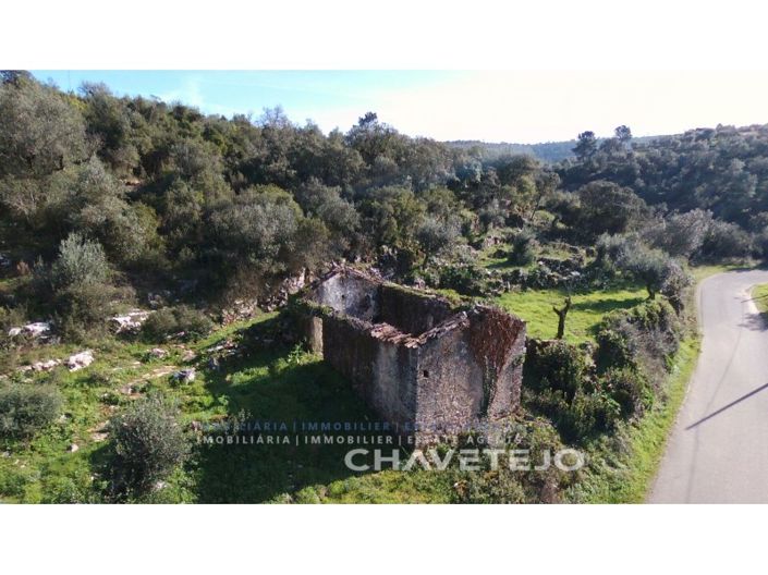 Image No.3-Ferme de 1 chambre à vendre à Ansião