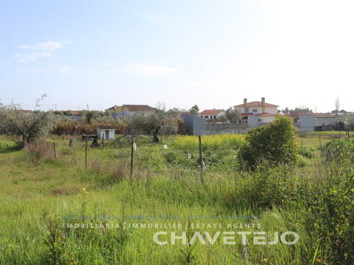 Image No.10-Terrain à vendre à Tomar