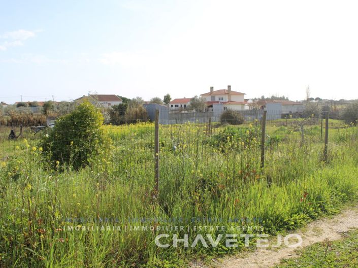 Image No.11-Terrain à vendre à Tomar