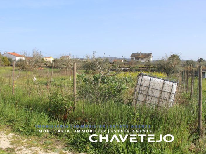 Image No.12-Terrain à vendre à Tomar