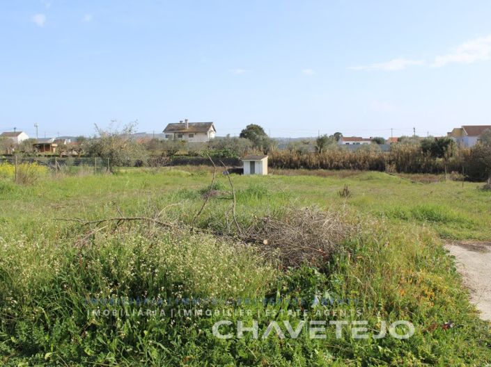 Image No.2-Terrain à vendre à Tomar