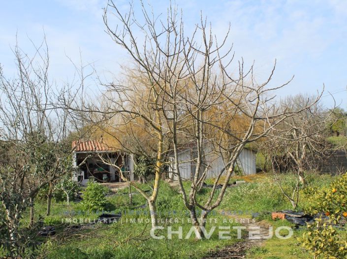 Image No.5-Terrain à vendre à Tomar