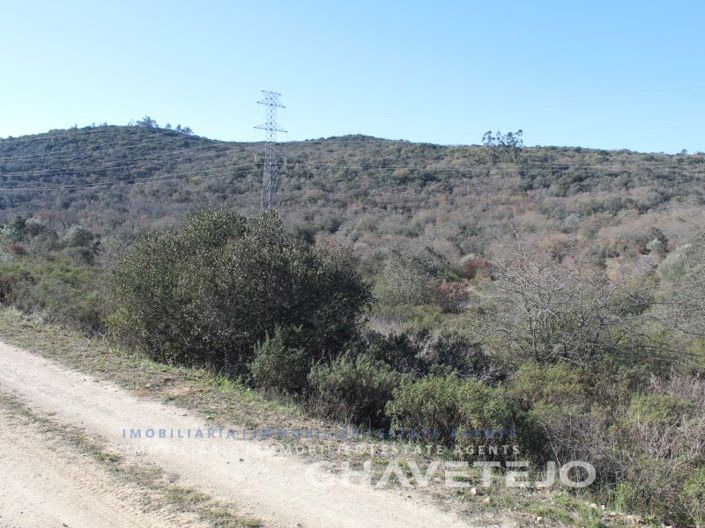 Image No.2-Plot for sale