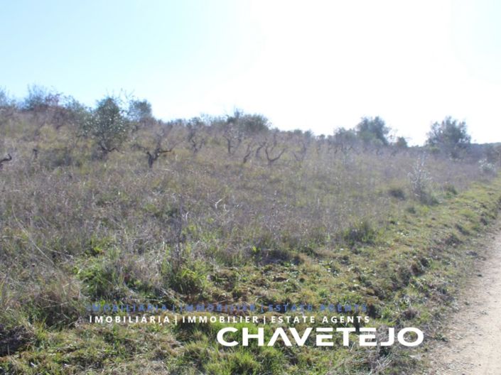 Image No.4-Plot for sale