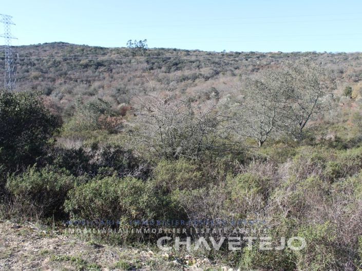 Image No.6-Plot for sale