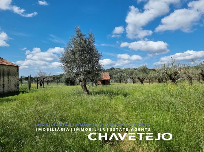 Image No.14-1 Bed House for sale