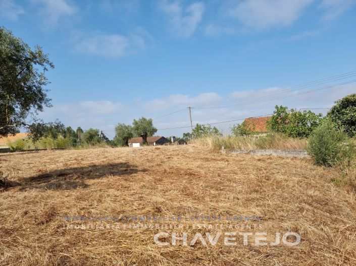 Image No.2-Terrain à vendre à Tomar