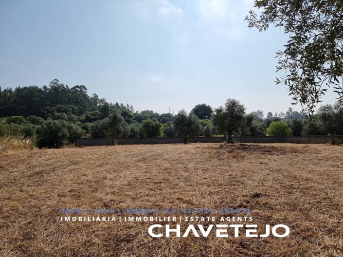 Image No.3-Terrain à vendre à Tomar
