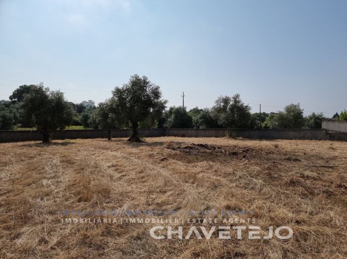 Image No.5-Terrain à vendre à Tomar