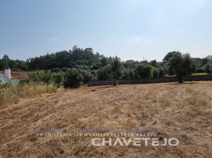 Image No.6-Terrain à vendre à Tomar