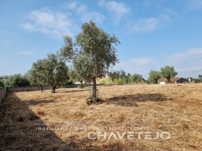Image No.7-Terrain à vendre à Tomar